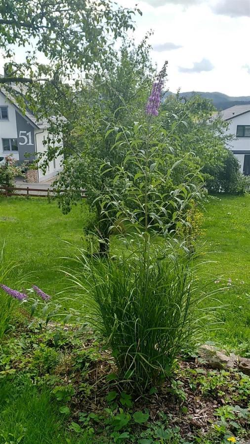 Ferienwohnung Vreni Gersfeld Bagian luar foto